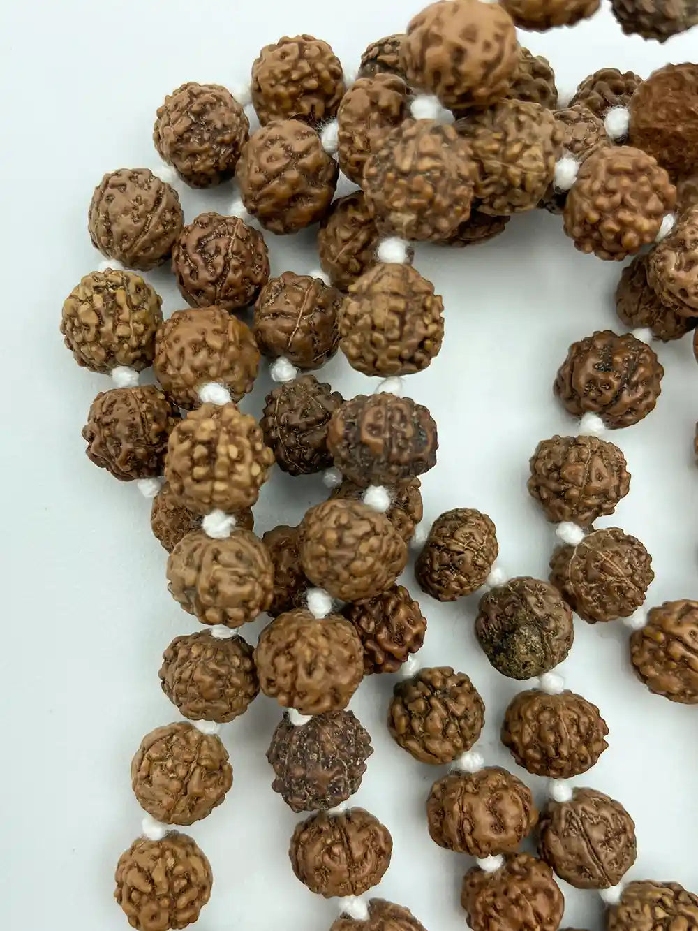 Mala Indiano di Rudraksha