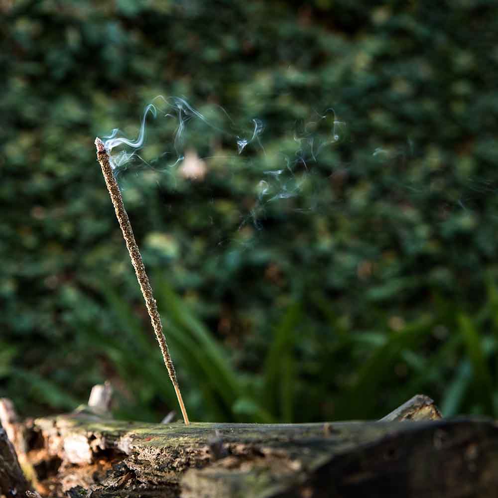 Incenso Rosmarino, Ruta e Olibano Naturale Sagrada Madre